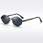 Volce Ray Polarized Sunglasses